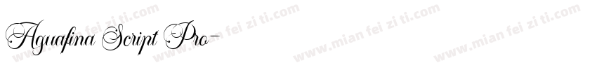 Aguafina Script Pro字体转换